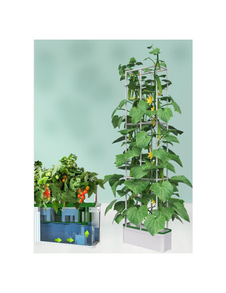 Kit de Cultivo Hidropónico Inteligente eSuperegrow 7L Interior Kit de Cultivo Hidropónico Inteligente eSuperegrow 7L Interior