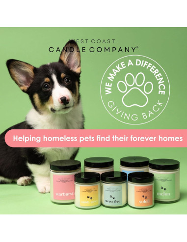 Vela Aromática Alpine Ridge West Coast Candle 113 g - Segura para Mascotas