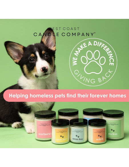 Vela Aromática Alpine Ridge West Coast Candle 113 g - Segura para Mascotas Vela Aromática Alpine Ridge West Coast Candle 113 g - Segura para Mascotas