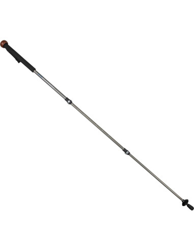 Bastón de Trekking ALPS Mountaineering Clásico Gris 160 cm