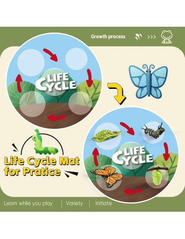 Kit de Ciclo de Vida Montessori Shantou TY3001 - 25 Piezas