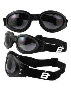 Gafas de Motocicleta Plegables Birdz con Lentes Ahumados y Morados 2
