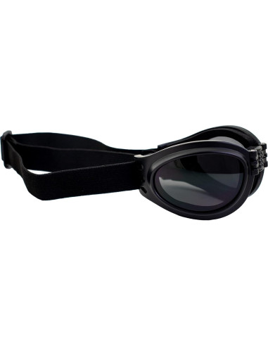 Gafas de Motocicleta Plegables Birdz con Lentes Ahumados y Morados