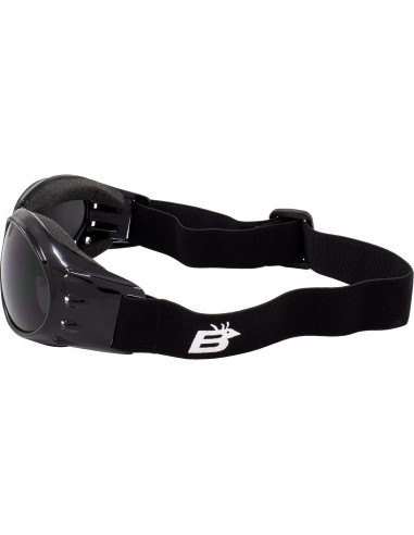 Gafas de Motocicleta Birdz Eyewear Eagle Antivaho UV