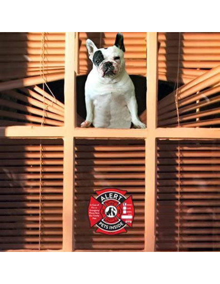Calcomanía de Alerta para Mascotas Genérica 12x12 cm Calcomanía de Alerta para Mascotas Genérica 12x12 cm