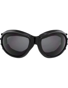 Gafas de Motocicleta Birdz Eagle con Lentes Ahumados UV400 2