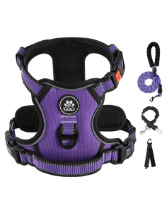 Arnés para Perros Pequeños IVY&LANE Ajustable Púrpura XS