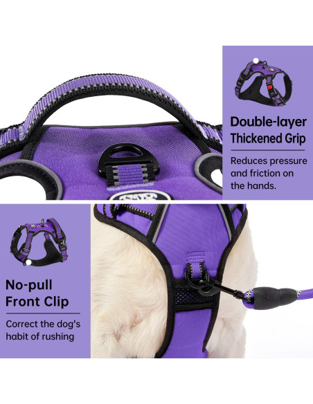 Arnés para Perros Pequeños IVY&LANE Ajustable Púrpura XS Arnés para Perros Pequeños IVY&LANE Ajustable Púrpura XS