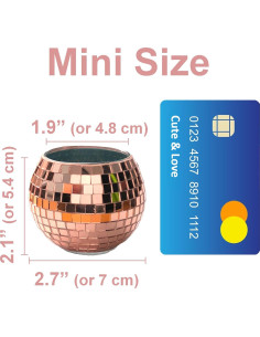 Mini Maceta de Bola de Disco BusyPet Rosa Dorado 5.4 cm 2