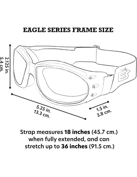 Gafas de Motocicleta Birdz Eagle con Lentes Ahumados UV400 Gafas de Motocicleta Birdz Eagle con Lentes Ahumados UV400