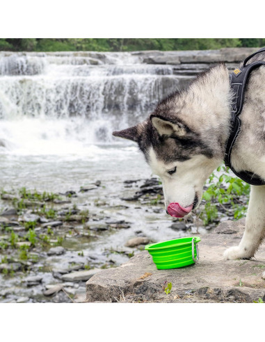 Conjunto de Tazones Plegables para Perros Mighty Paw - 800 ml - Verde