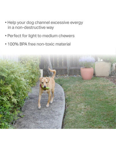 Juguete para Perros Aguacate Amigos Para Siempre - Soporte Bully Stick