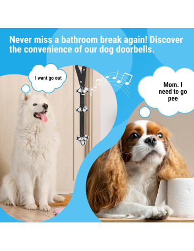 Paquete de 5 Timbres para Perros NexusX - Entrenamiento Eficaz