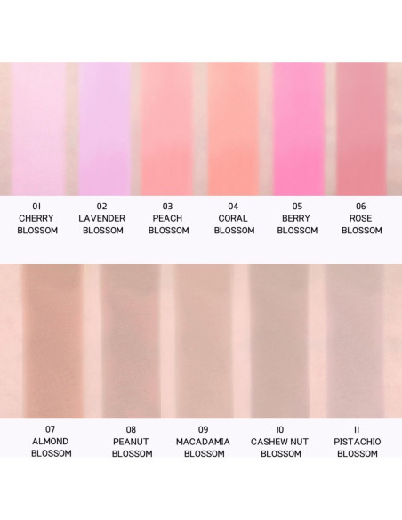 Rubor BBIA Last Blush 11 Color 2.5g - Alto Pigmento Mate 01 Flor de Cerezo Rubor BBIA Last Blush 11 Color 2.5g - Alto Pigmento Mate 01 Flor de Cerezo