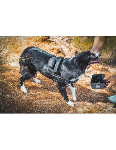 Cuenco Plegable para Mascotas OneTigris 0.9L Negro