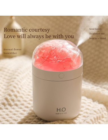 Humidificador Mini H2O Jialong Rosa con Luz LED y 3 Modos