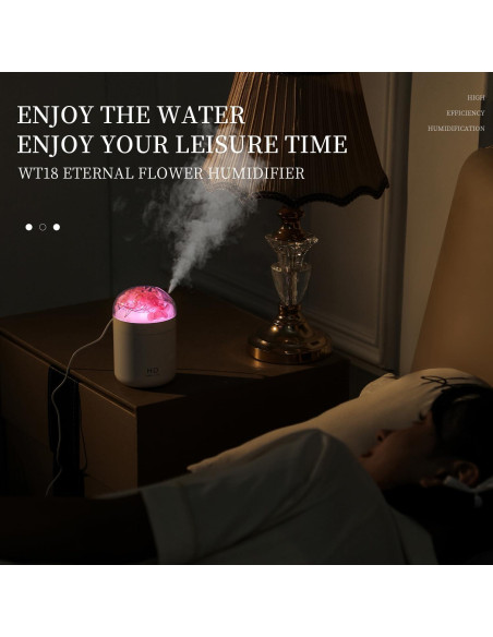 Humidificador Mini H2O Jialong Rosa con Luz LED y 3 Modos Humidificador Mini H2O Jialong Rosa con Luz LED y 3 Modos