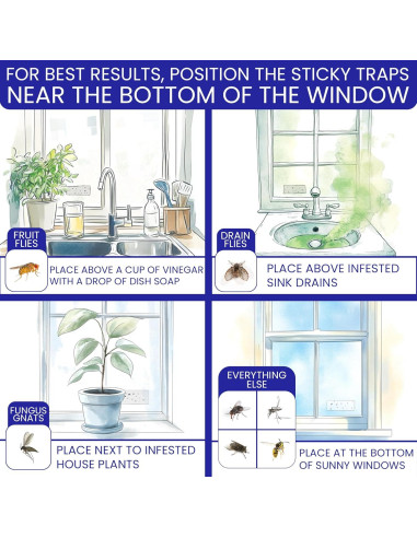 Trampas Pegajosas para Moscas BugBane 50 Unidades Transparentes
