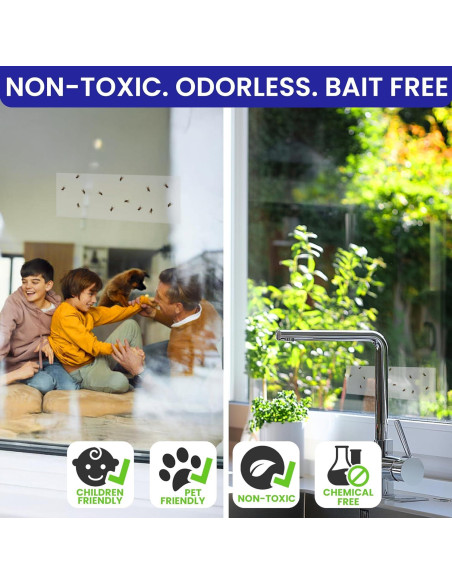 Trampas Pegajosas para Moscas BugBane 50 Unidades Transparentes Trampas Pegajosas para Moscas BugBane 50 Unidades Transparentes