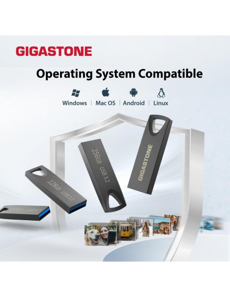 GIGASTONE Z70 32GB 2 Pack USB 3.2 Flash Drives Metal Impermeable GIGASTONE Z70 32GB 2 Pack USB 3.2 Flash Drives Metal Impermeable