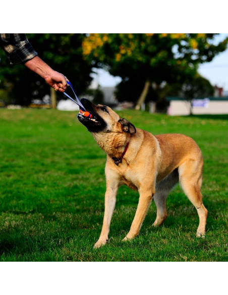 Chuckit! Ultra Tug Juguete para Perros Mediano 9-27 kg Chuckit! Ultra Tug Juguete para Perros Mediano 9-27 kg