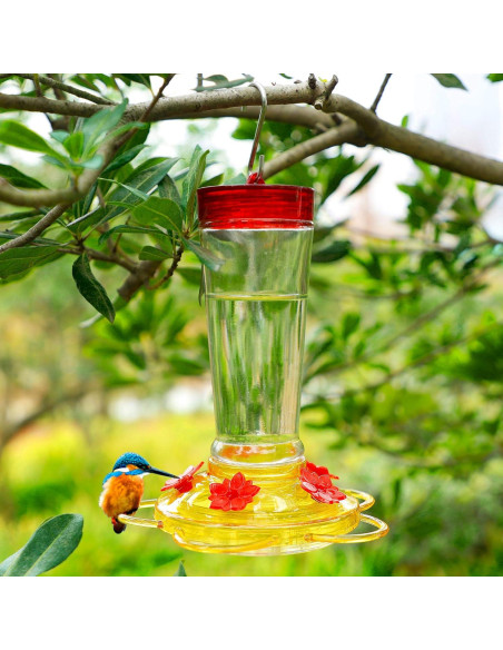 Alimentador de Colibrí Joliyoou 0.29L Vidrio Colgante Jardín Alimentador de Colibrí Joliyoou 0.29L Vidrio Colgante Jardín