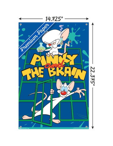 Póster de Pared Trends International Pinky And The Brain 37.4x56.8cm