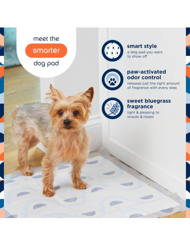 Almohadillas para Perros KAS Pet Smart Prints 40 Unidades