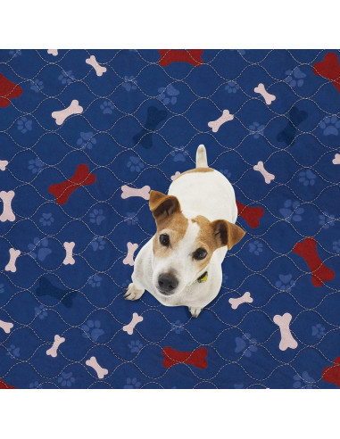 Alfombrillas Lavables para Perros SincoPet 61x61 cm - Paquete de 4