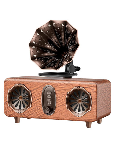 Altavoz Bluetooth FREEFISH AS36 Retro con Radio FM y USB