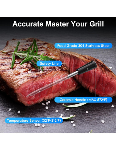 Termómetro de Carne Inalámbrico Bluetooth Newise BMT02 con 2 Probes