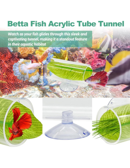 Túnel Acrílico para Peces Betta Hamiledyi - 2 Piezas 7.6x3.8cm Túnel Acrílico para Peces Betta Hamiledyi - 2 Piezas 7.6x3.8cm