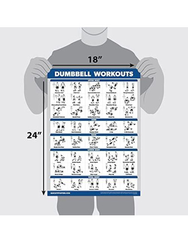 Carteles de Ejercicios Laminados QuickFit - Set de 3 Gráficos