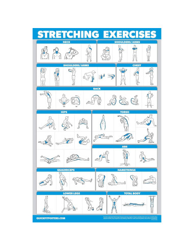 Carteles de Ejercicios Laminados QuickFit - Set de 3 Gráficos
