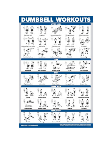 Carteles de Ejercicios Laminados QuickFit - Set de 3 Gráficos