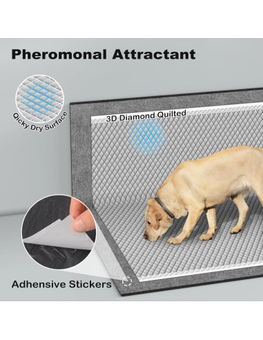 Almohadillas para Perros MIZOK 58x61cm 50 Unidades Carbón Activo