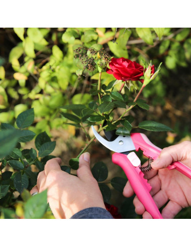 Tijeras de Podar Fiskars 1074380 - Bypass 1.27 cm Rosa Pétalo