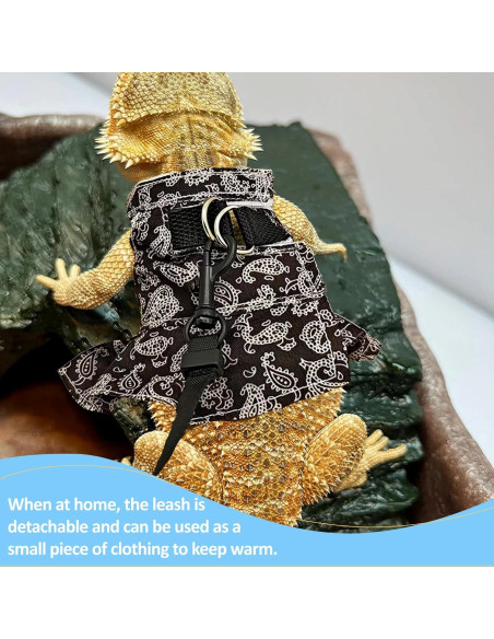 Arnés y Correa Ajustable HOKABLE para Lagarto y Pequeños Animales Arnés y Correa Ajustable HOKABLE para Lagarto y Pequeños Animales