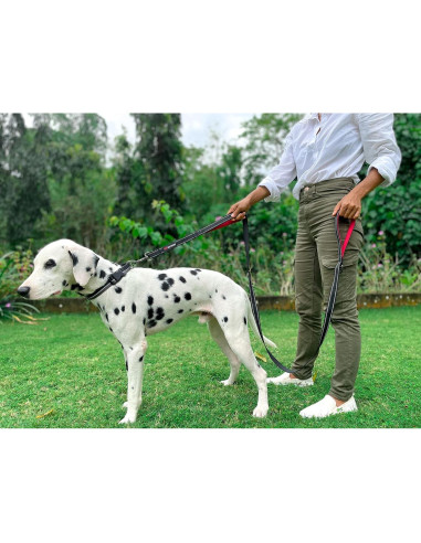 Correa Doble de Manejo Tuff Pupper 1.83m para Perros Grandes