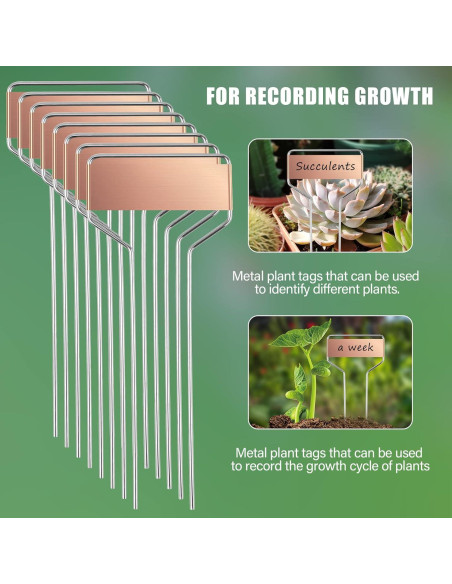 Etiquetas de Jardín Geilihome de Cobre - 30PCS Reutilizables Etiquetas de Jardín Geilihome de Cobre - 30PCS Reutilizables