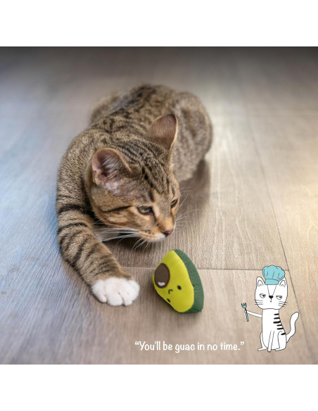 Juguete de Gato Catstages Avocato con Malla Dental - Peluche Verde Juguete de Gato Catstages Avocato con Malla Dental - Peluche Verde