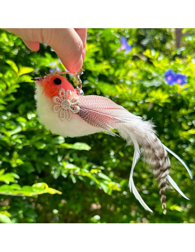 Recargas de Juguetes de Plumas para Gatos CATENEED 5 Piezas