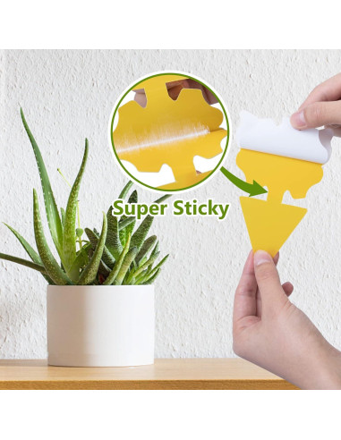 Paquete de 40 trampas adhesivas amarillas Dwcom para mosquitos