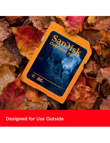 Tarjeta SD SanDisk 32GB 2-Pack UHS-I para Cámara de Sendero