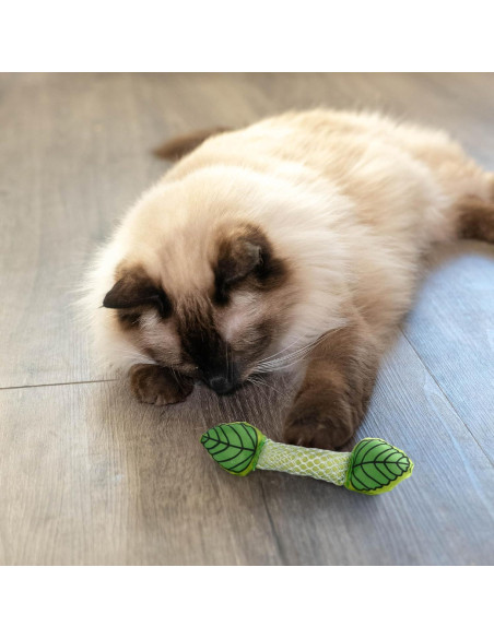 Juguete Dental para Gatos Petstages Fresh Breath - Paquete de 2 Juguete Dental para Gatos Petstages Fresh Breath - Paquete de 2