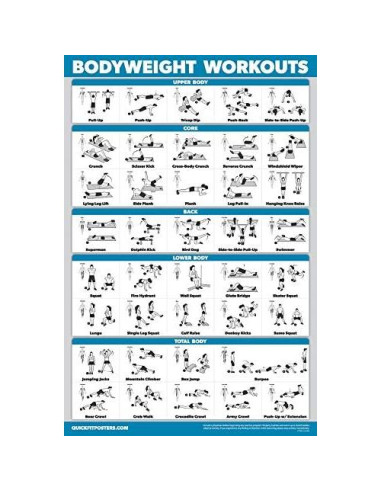 Conjunto de 11 Pósters de Ejercicio Palace Learning