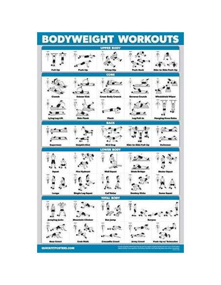 Conjunto de 11 Pósters de Ejercicio Palace Learning Conjunto de 11 Pósters de Ejercicio Palace Learning