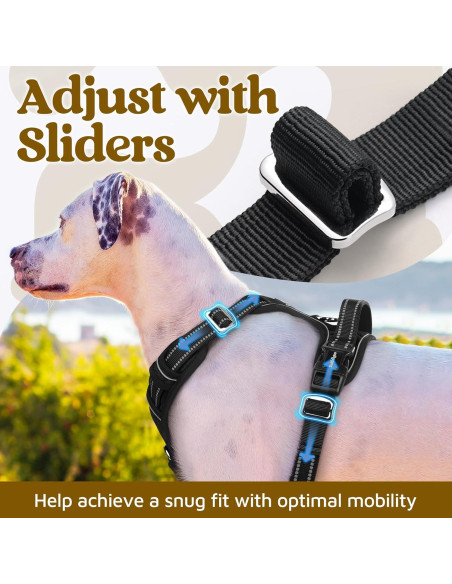 Arnés para Perros Rabbitgoo Pequeño Negro Ajustable y Acolchado Arnés para Perros Rabbitgoo Pequeño Negro Ajustable y Acolchado