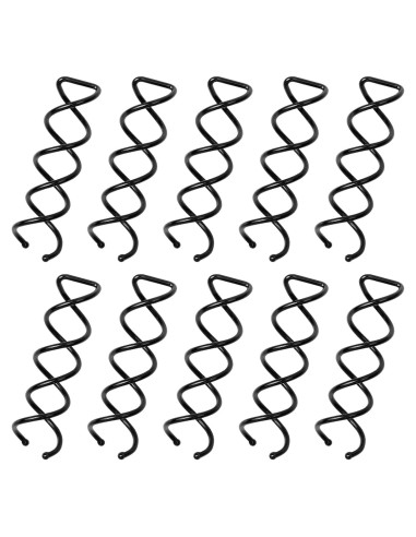Set de 10 Pinzas para Cabello en Espiral Defutay - Negro