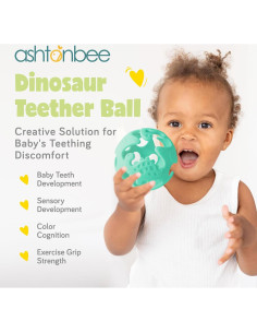 Juguetes de Dentición Dinosaurio Ashtonbee - Silicona BPA Free 2